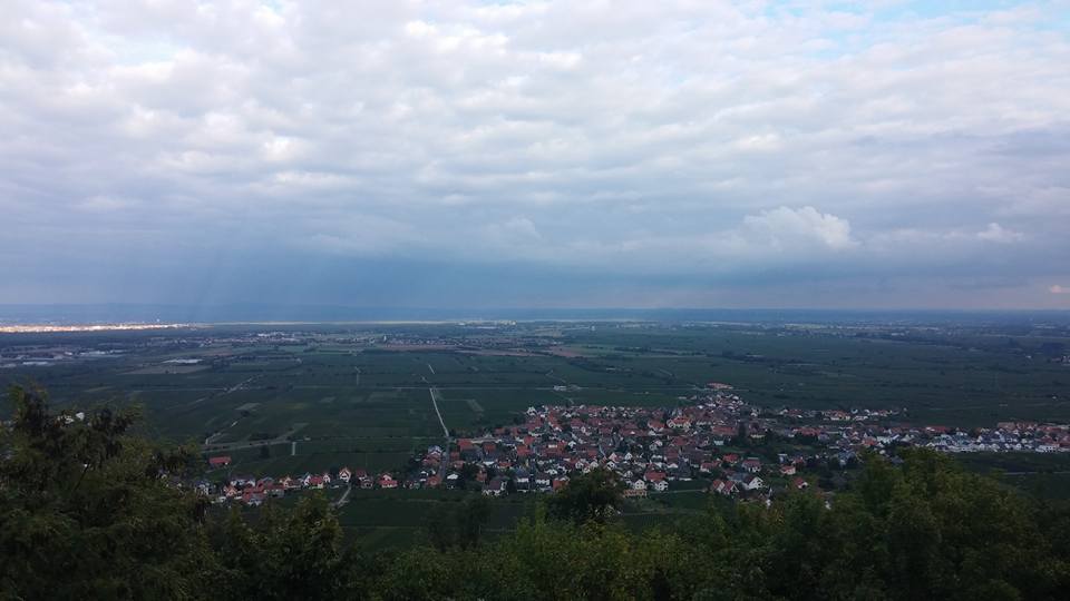 Hambacher Symposium 2015 6
